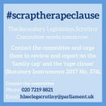 Scottish women’s organisations make final appeal to House of Lords to scrap the 'rape clause'
