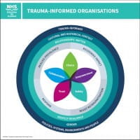 Trauma informed orgs